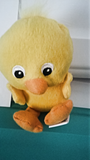"Cluck Cluck the Duck" Softcover with Plush