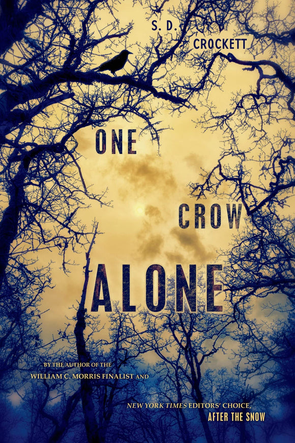 One Crow Alone (After the Snow) by S. D. Crockett